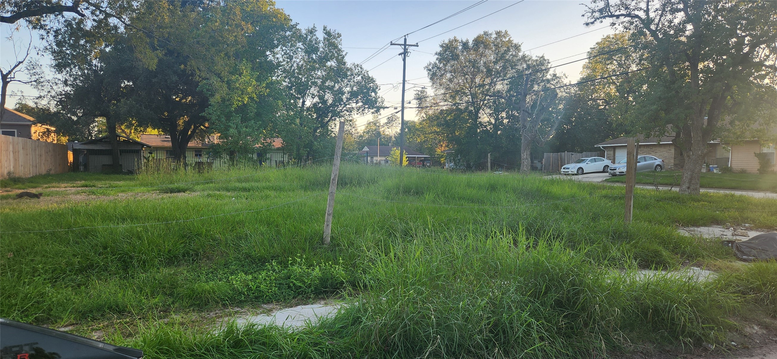 5802 Westover Street Houston, TX 77033 - Photo 5 of 8 a backyard of a house with lots of green space and plants