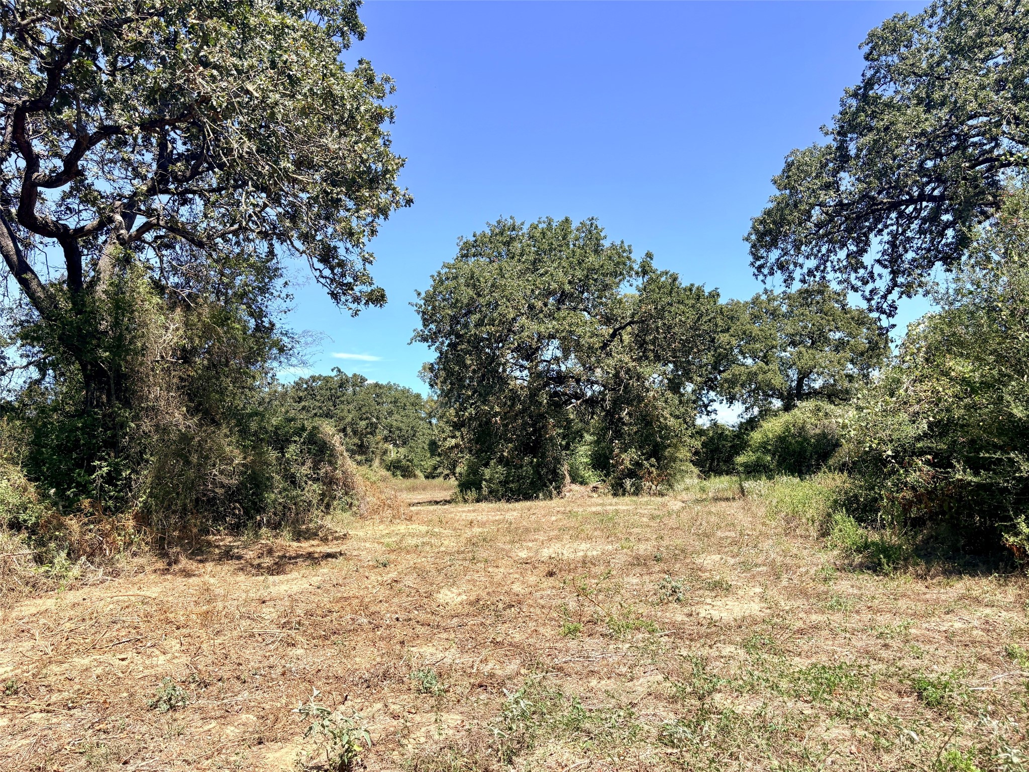 11529 Winstead Lane Calvert, TX 77837 - Photo 8 of 14 Open area