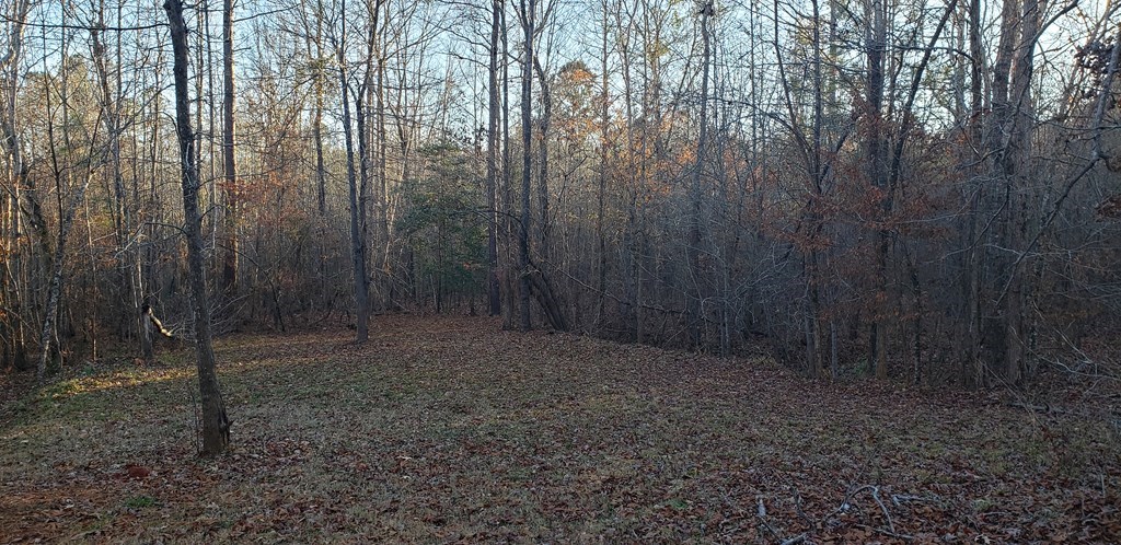 873 Skippers Lodge Road Cross Hill, SC 29332 - Photo 3 of 10 Gallery Image 3