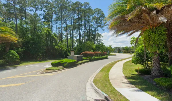 a view of a swimming pool with a garden