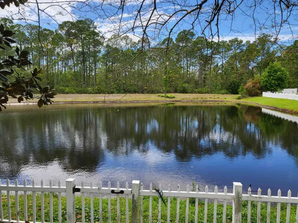 a view of back yard of the house