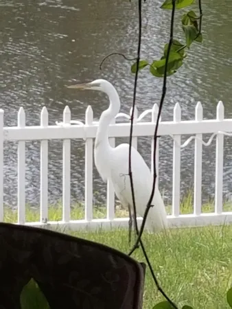 a close up of a vase of flowers