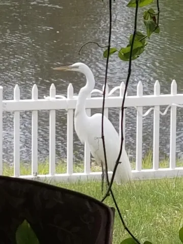 a close up of a vase of flowers