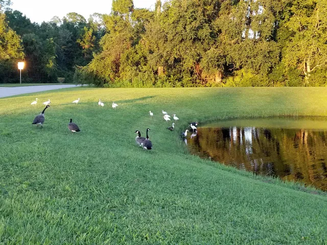 a view of a backyard of the house