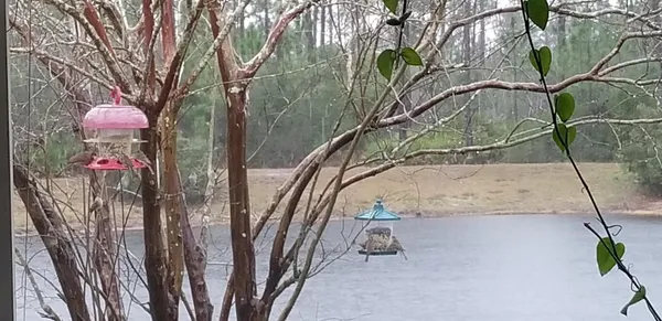 $2,400 | 237 North Hidden Tree Drive, St. Augustine, FL 32086