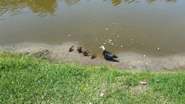 $2,400 | 237 North Hidden Tree Drive, St. Augustine, FL 32086