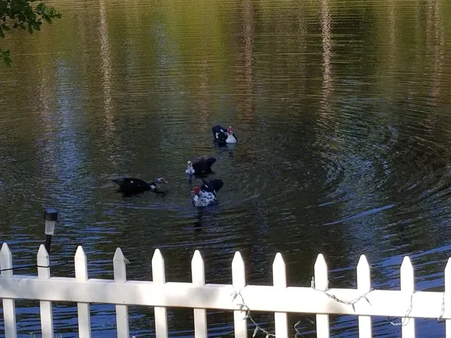 $2,400 | 237 North Hidden Tree Drive, St. Augustine, FL 32086