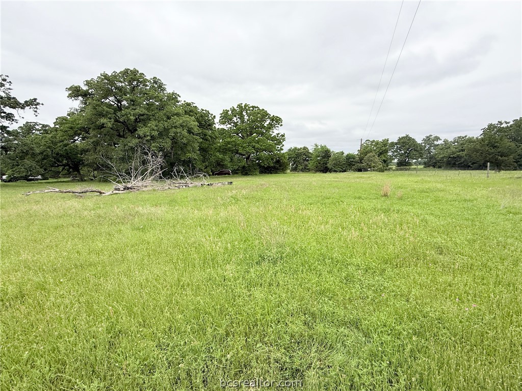 Tbd Wannabe Road Bryan, TX 77808 - Photo 22 of 25 a view of field with trees in the background