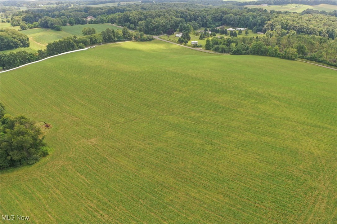 11583 Bower Road Minerva, OH 44657 - Photo 22 of 36 Aerial view