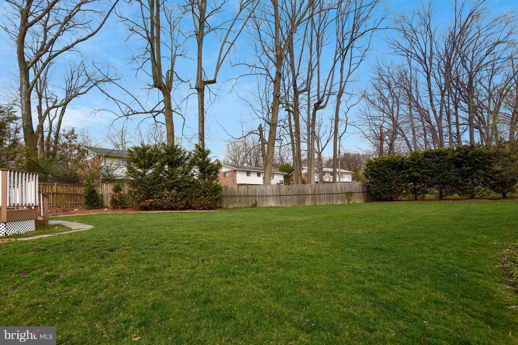 903 Kersey Road Silver Spring, MD 20902 - Photo 29 of 30 Back Yard