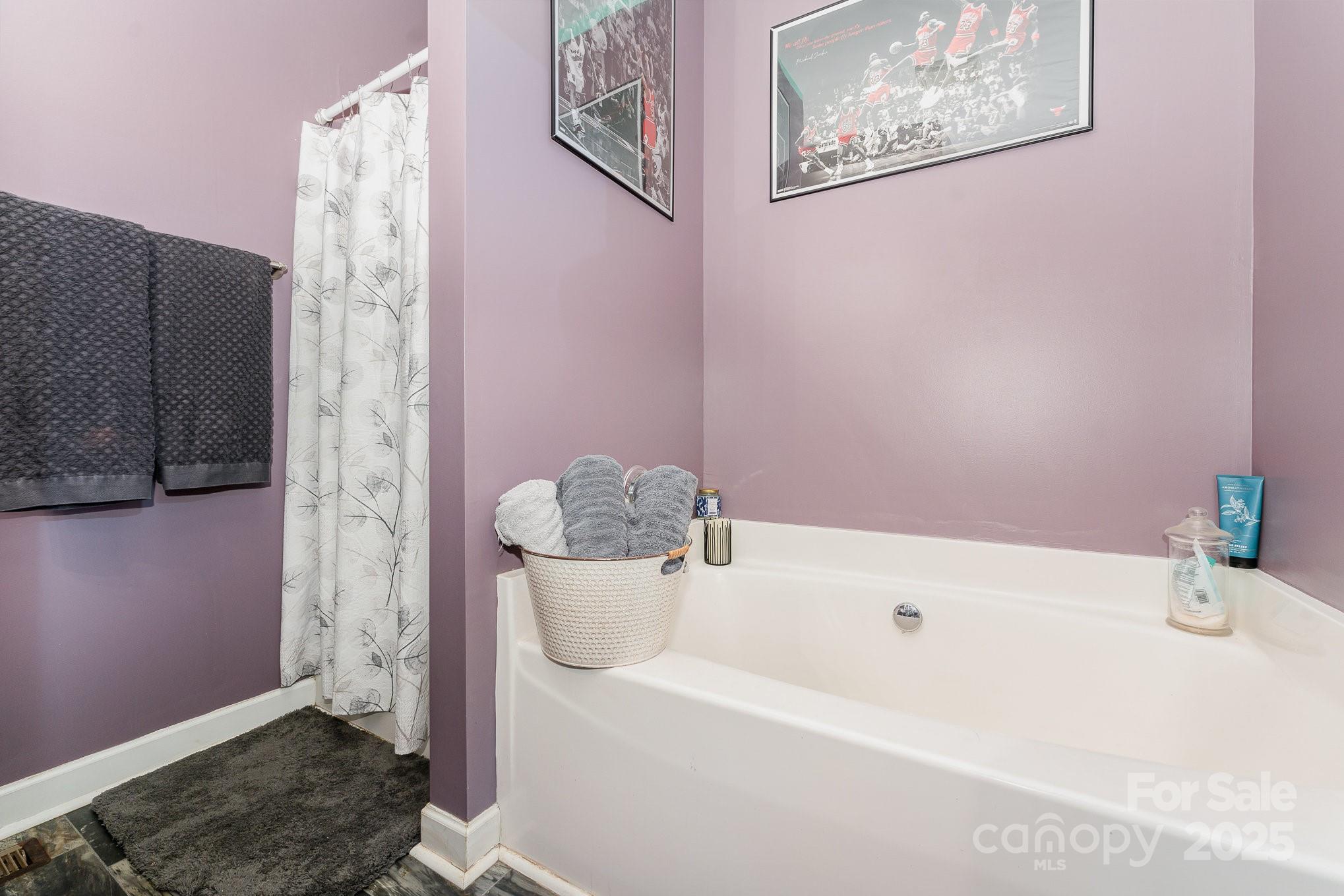 4242 Lake Ridge Court Ramseur, NC 27316 - Photo 23 of 33 a bathroom with a bathtub and shower