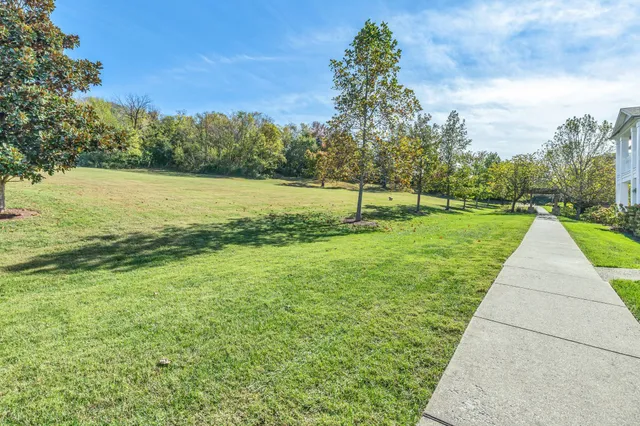 a view of a yard with an outdoor space