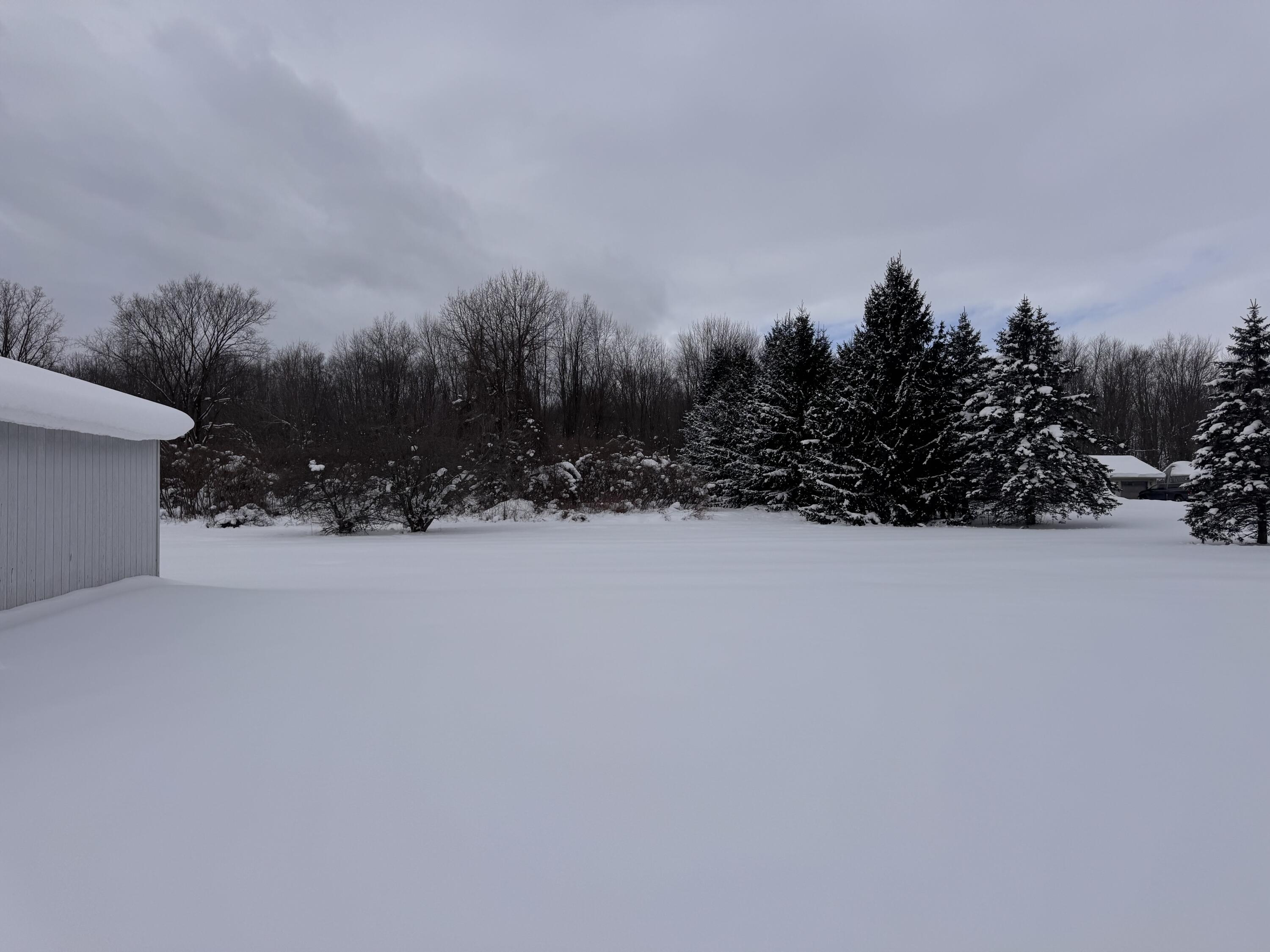 3899 Fruit Ridge Avenue Northwest Grand Rapids, MI 49544 - Photo 2 of 27 back yard