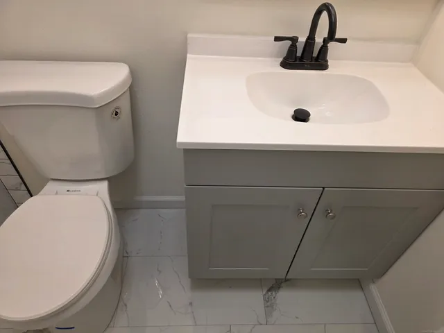 a bathroom with a sink and a toilet