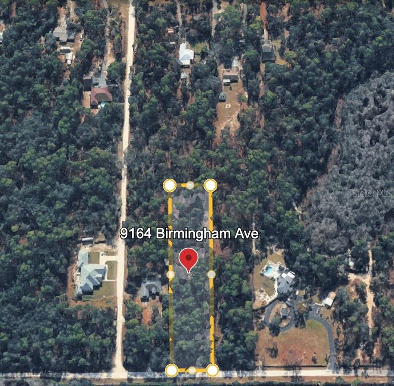 9164 Birmingham Avenue Weeki Wachee, FL 34613 - Photo 4 of 7