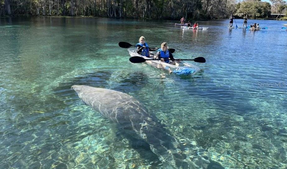 9164 Birmingham Avenue Weeki Wachee, FL 34613 - Photo 7 of 7 a view of a lake with outdoor space