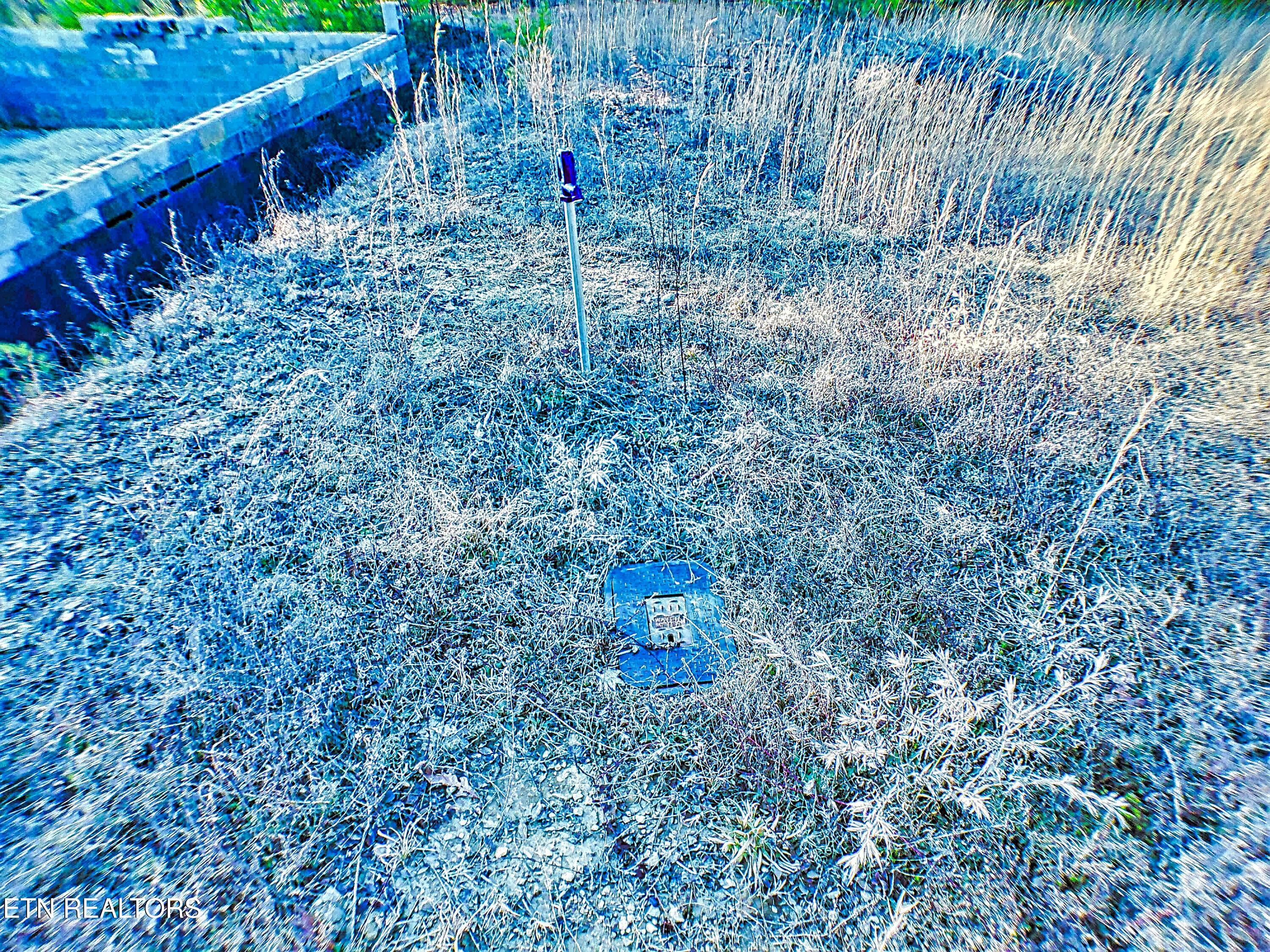 144 Charlie Jones Road Deer Lodge, TN 37726 - Photo 3 of 15 ANMP0002