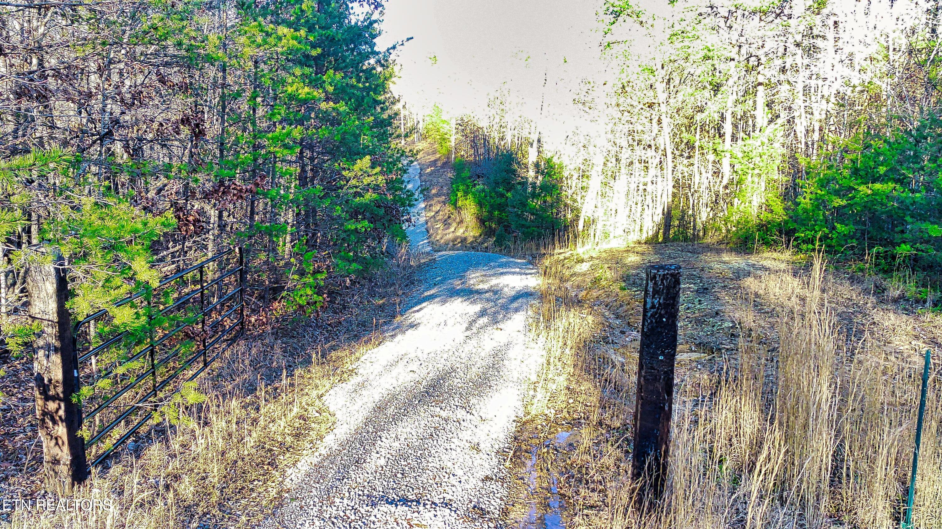 144 Charlie Jones Road Deer Lodge, TN 37726 - Photo 4 of 15 FIMI0060