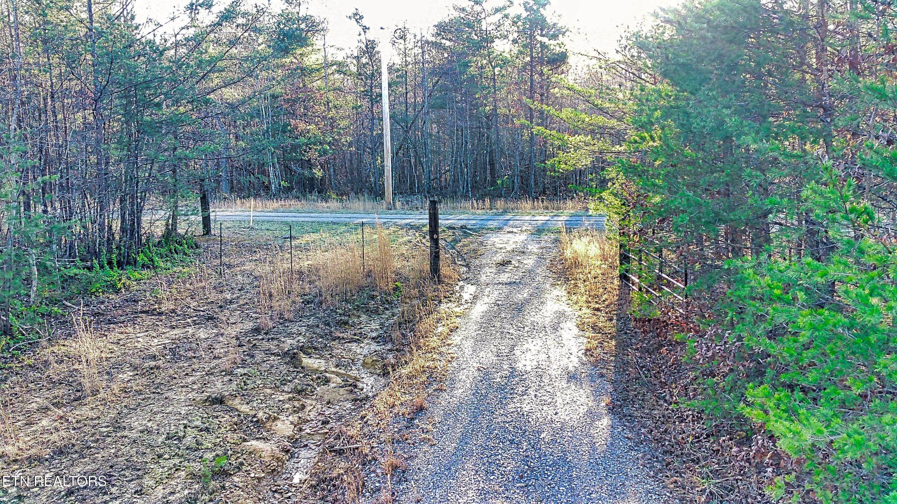 144 Charlie Jones Road Deer Lodge, TN 37726 - Photo 5 of 15 FIMI0057