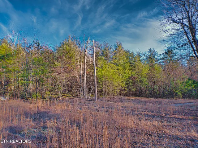 $85,000 | 144 Charlie Jones Road, Deer Lodge, TN 37726