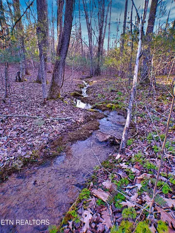 $85,000 | 144 Charlie Jones Road, Deer Lodge, TN 37726