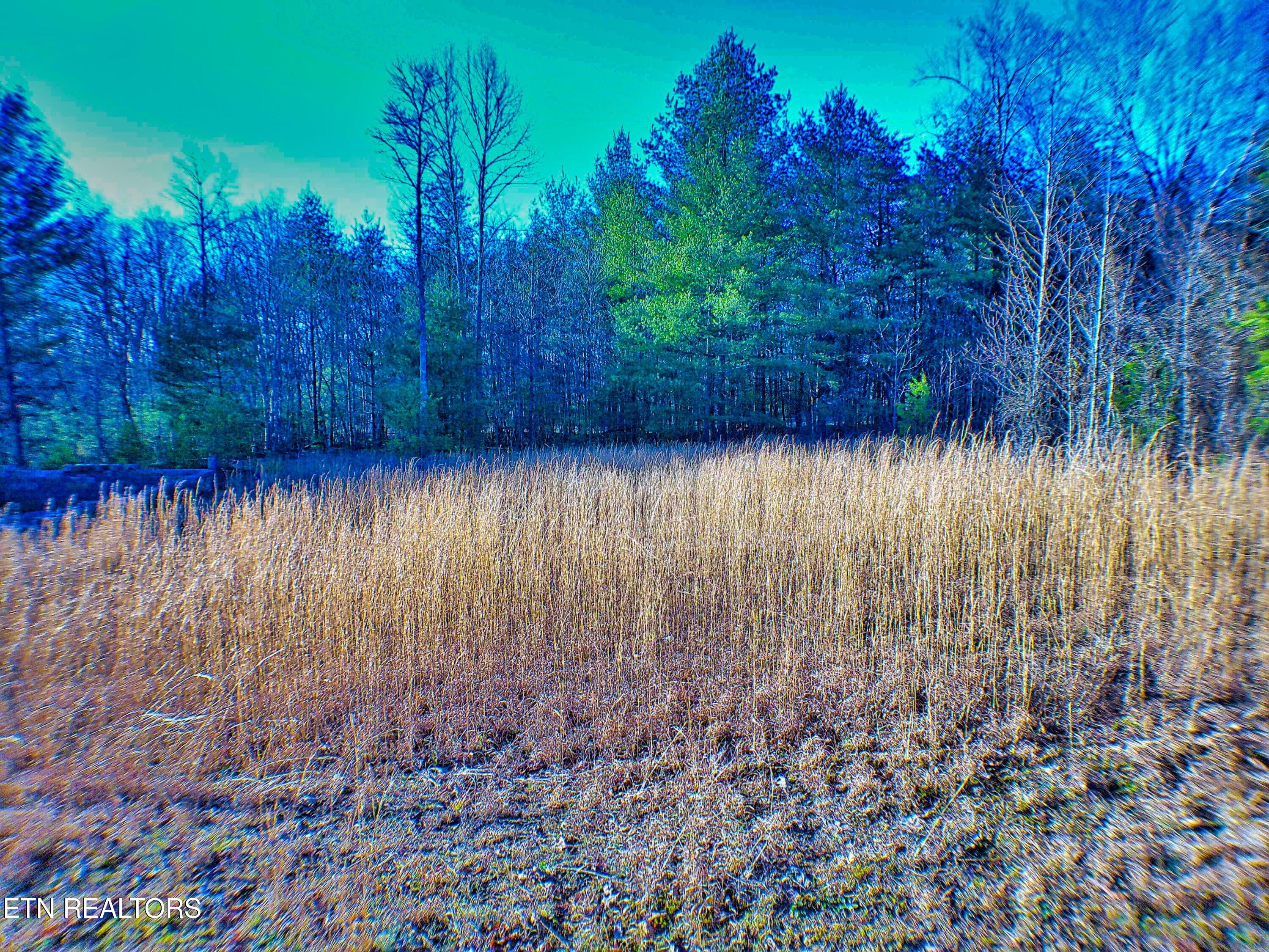 144 Charlie Jones Road Deer Lodge, TN 37726 - Photo 9 of 15 ANMP0001