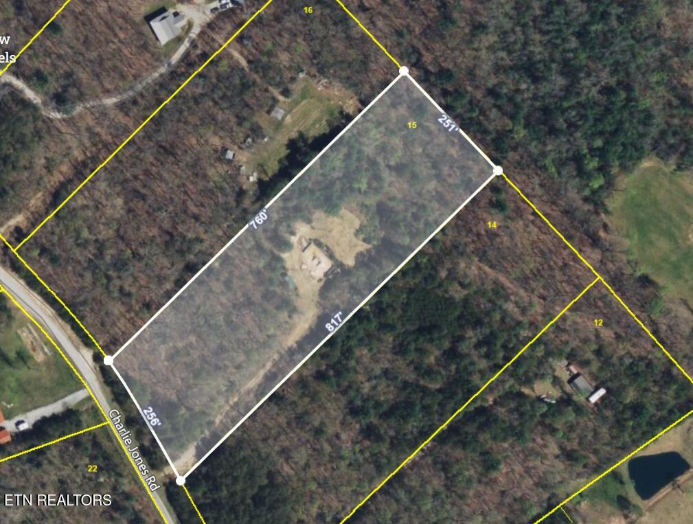 144 Charlie Jones Road Deer Lodge, TN 37726 - Photo 10 of 15 144 Charlie Jones Road Satellite Pic
