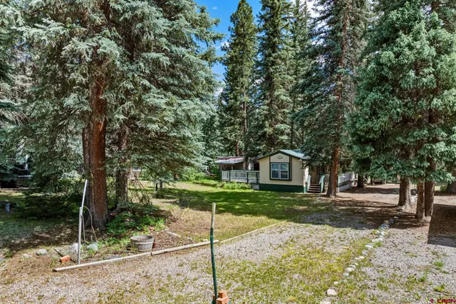 a view of a forest with a street
