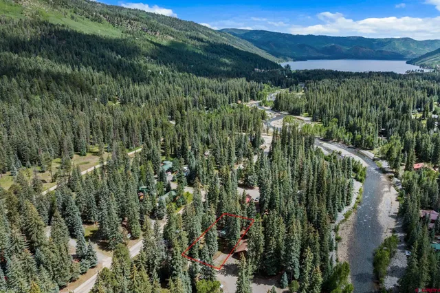 a view of a lush green forest with mountains in the background