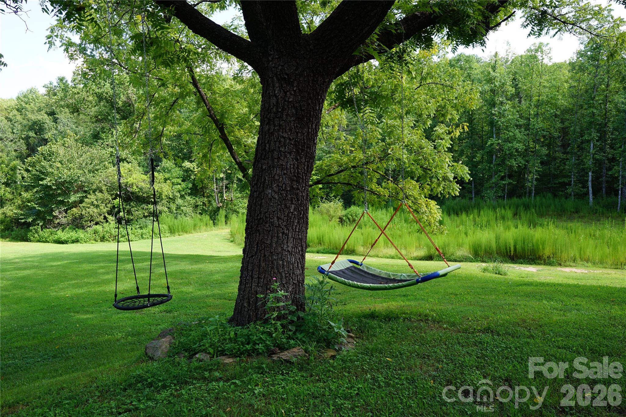 1239 Mcguinn Road Mill Spring, NC 28756 - Photo 9 of 46 Gallery Image 9