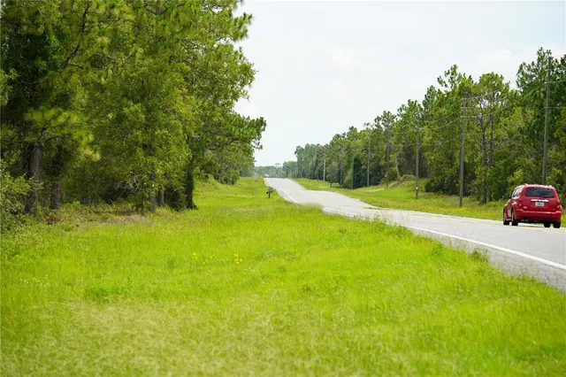 a view of a field with grass and trees