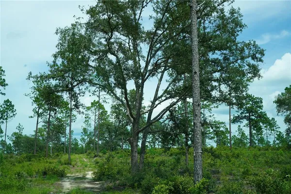 $694,715 | 121 Southeast State Road, Morriston, FL 32668
