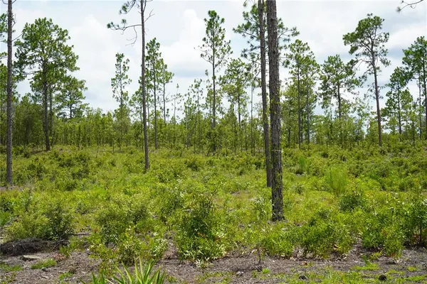 $694,715 | 121 Southeast State Road, Morriston, FL 32668