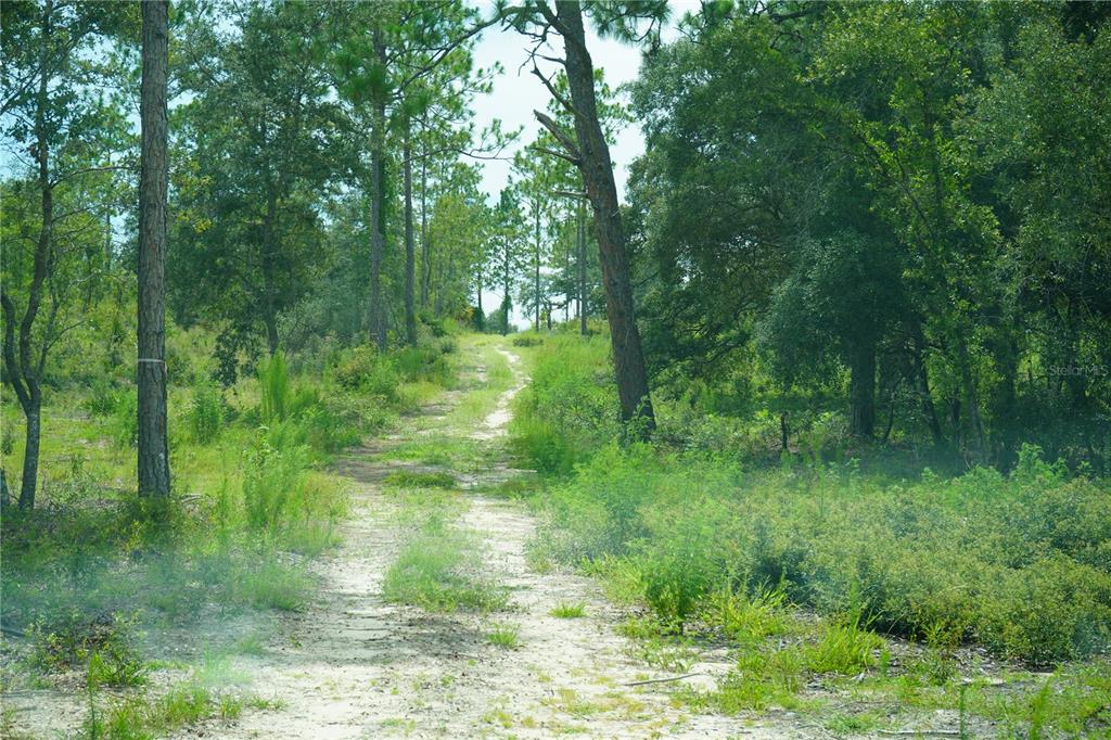 121 Southeast State Road Morriston, FL 32668 - Photo 20 of 21