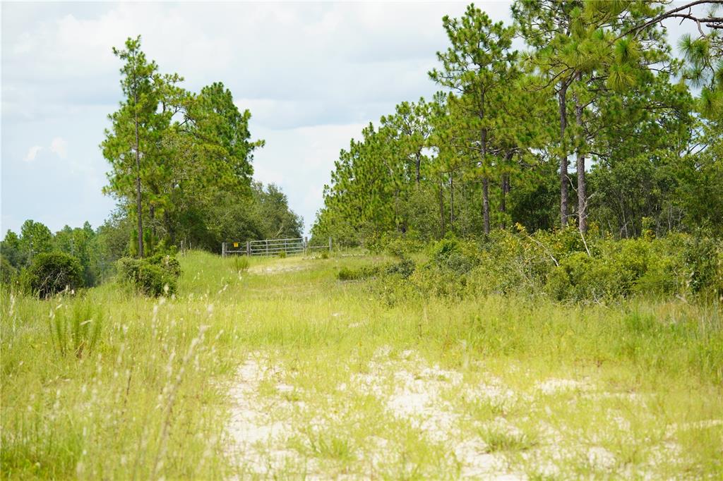 121 Southeast State Road Morriston, FL 32668 - Photo 4 of 21