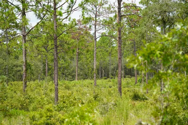 $694,715 | 121 Southeast State Road, Morriston, FL 32668