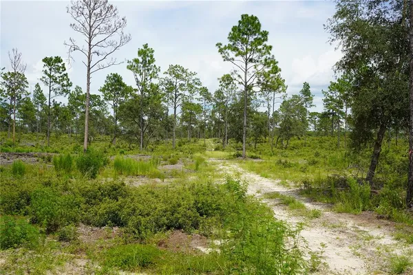 $694,715 | 121 Southeast State Road, Morriston, FL 32668
