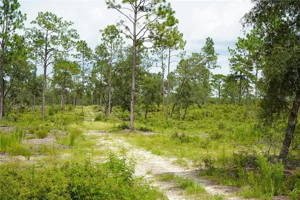 $694,715 | 121 Southeast State Road, Morriston, FL 32668