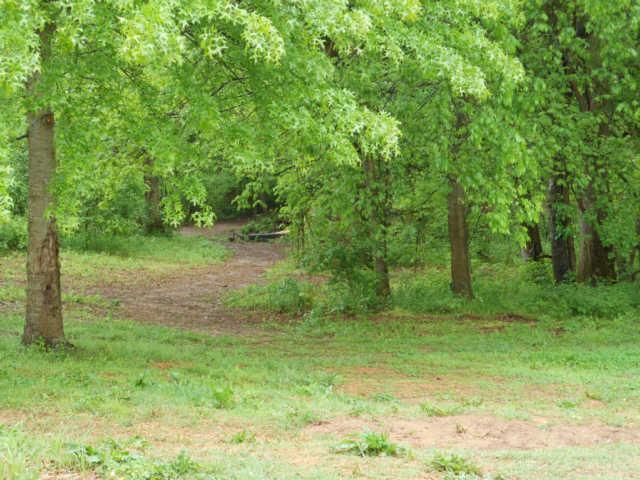 2442 Toler Road Woodlawn, TN 37191 - Photo 14 of 20 Bkyrd