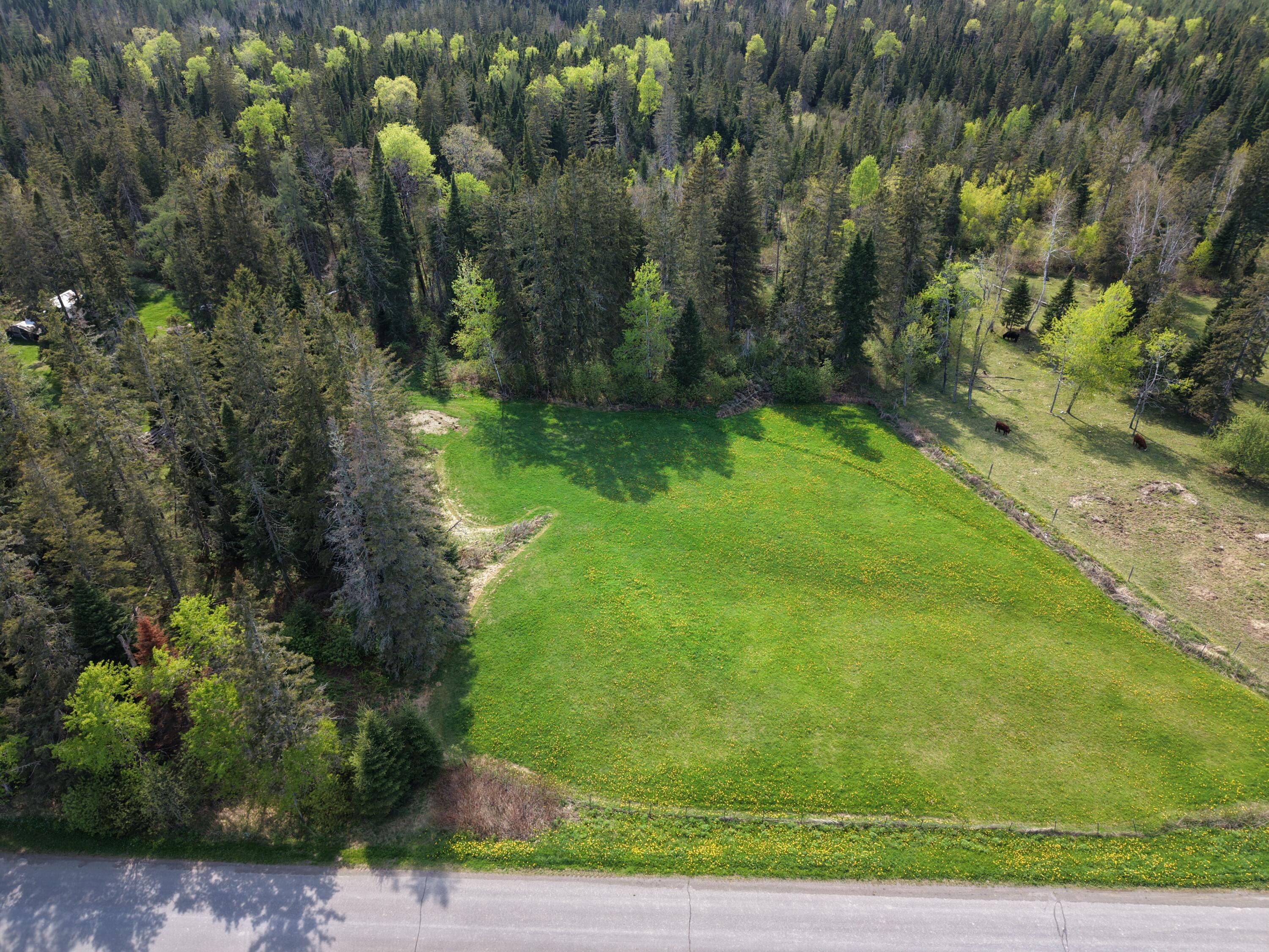 Lot 109 Cote Road Caribou, ME 04736 - Photo 5 of 7 45823