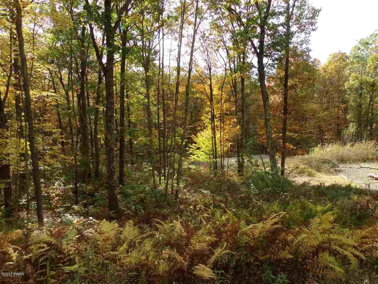 Lot 6.82 Lenni Lenape Road Narrowsburg, NY 12764 - Photo 17 of 17