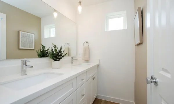 a bathroom with a shower and a toilet
