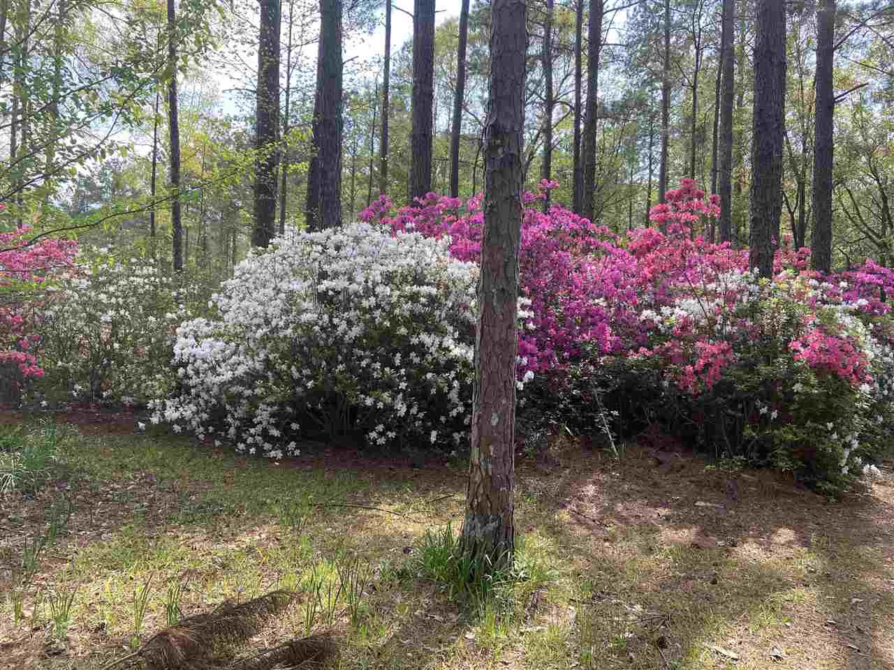 226 Lee Boggan Road Mendenhall, MS 39114 - Photo 38 of 40 Photo 45