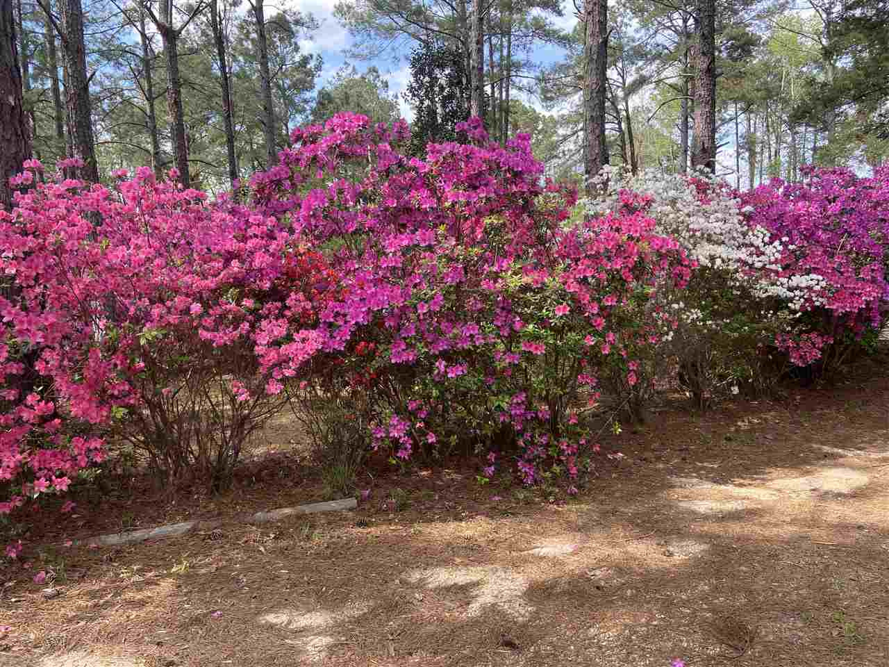 226 Lee Boggan Road Mendenhall, MS 39114 - Photo 39 of 40 Photo 46