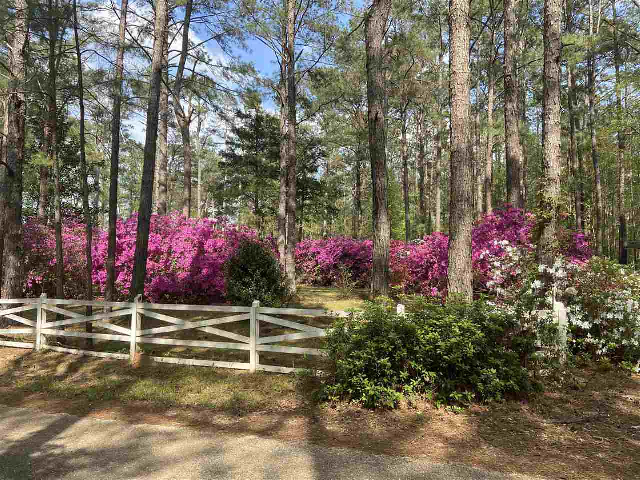 226 Lee Boggan Road Mendenhall, MS 39114 - Photo 40 of 40 Photo 47