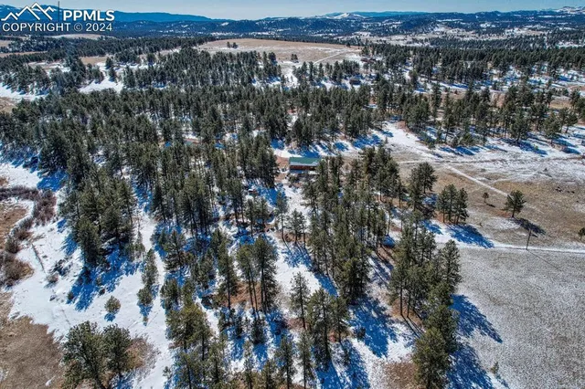 a view of lot of trees