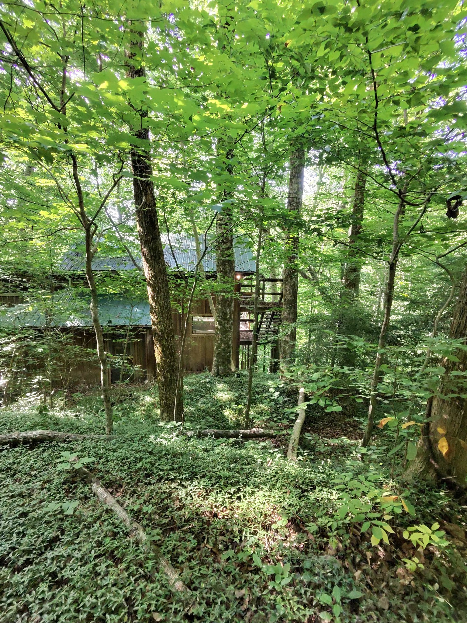 2450 Ponder Road Smithville, TN 37166 - Photo 2 of 11