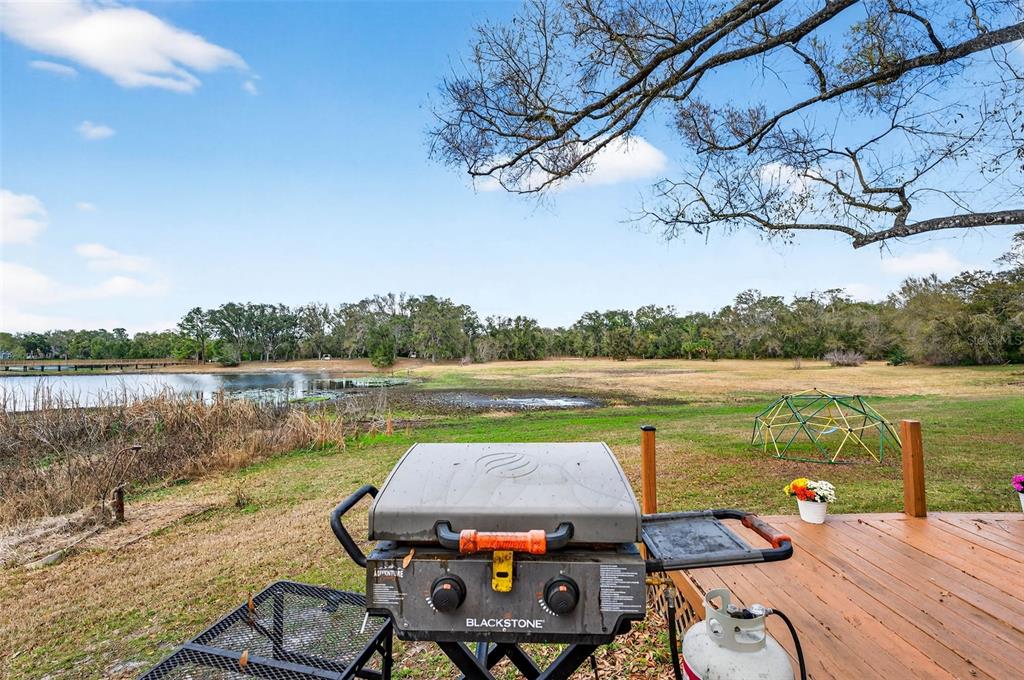 16330 Hanna Road Lutz, FL 33549 - Photo 42 of 63