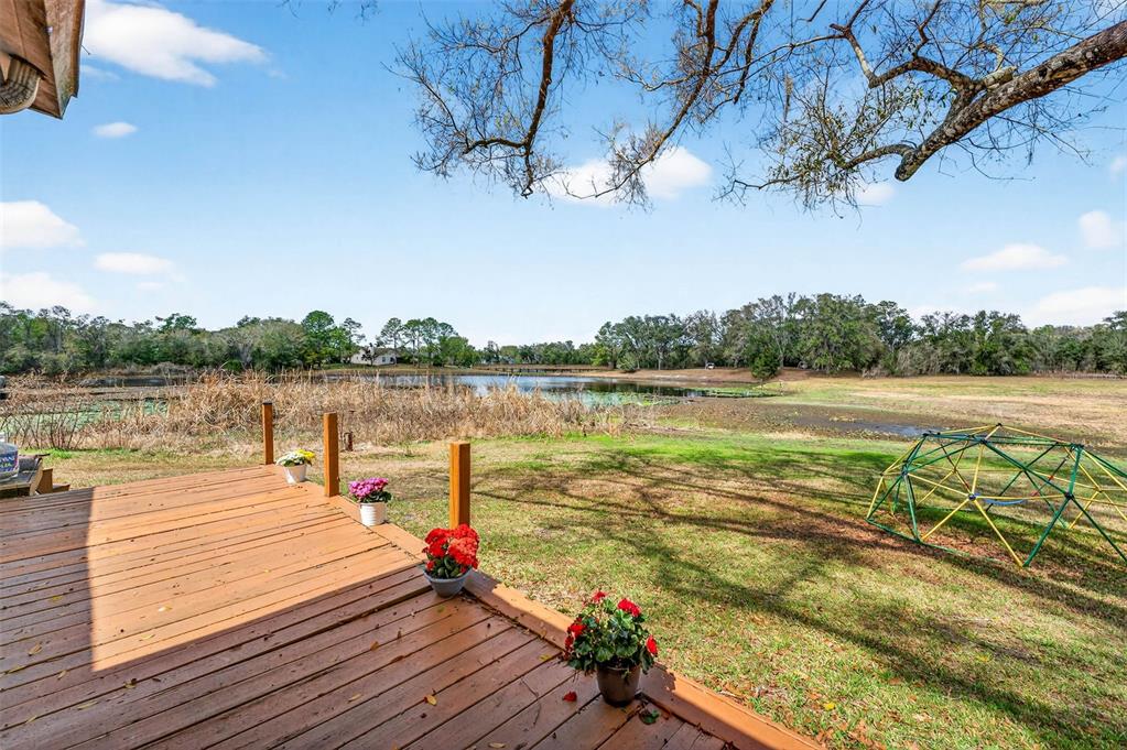 16330 Hanna Road Lutz, FL 33549 - Photo 43 of 63