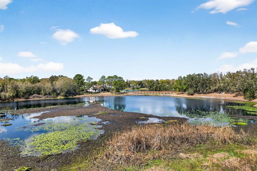 16330 Hanna Road Lutz, FL 33549 - Photo 52 of 63